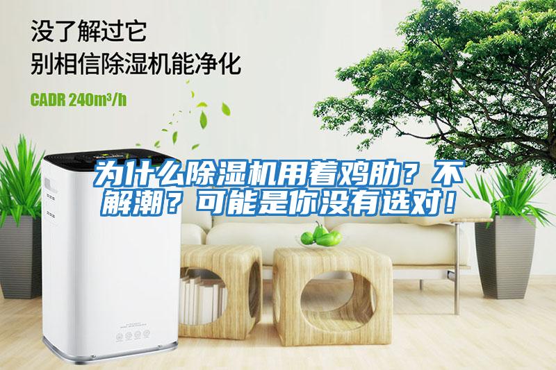 為什么除濕機用著雞肋？不解潮？可能是你沒有選對！