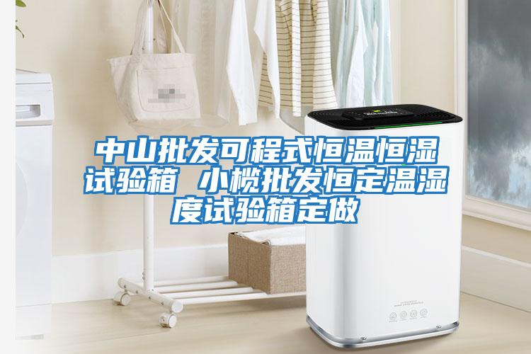 中山批發可程式恒溫恒濕試驗箱 小欖批發恒定溫濕度試驗箱定做
