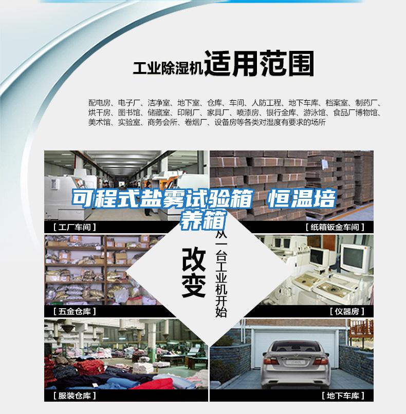 可程式鹽霧試驗箱 恒溫培養箱