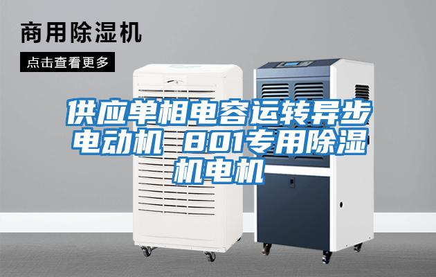 供應單相電容運轉異步電動機 801專用除濕機電機