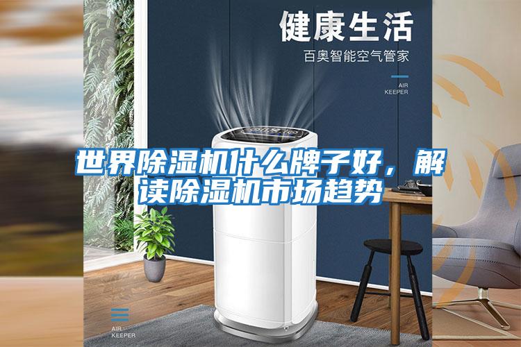 世界除濕機什么牌子好,解讀除濕機市場趨勢