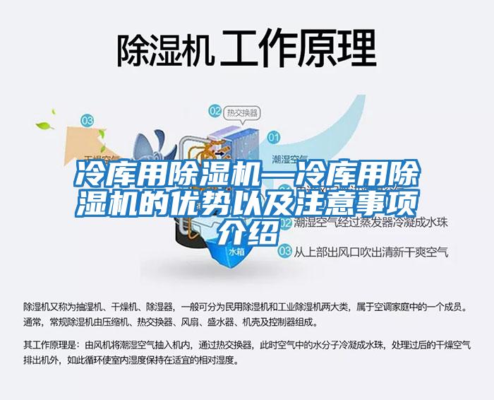 冷庫用除濕機—冷庫用除濕機的優勢以及注意事項介紹