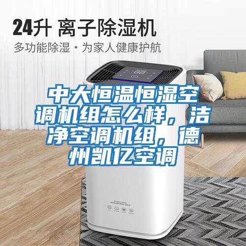 中大恒溫恒濕空調(diào)機(jī)組怎么樣,潔凈空調(diào)機(jī)組,德州凱億空調(diào)