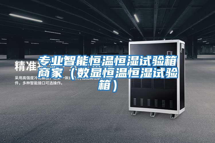 專業智能恒溫恒濕試驗箱商家(數顯恒溫恒濕試驗箱)