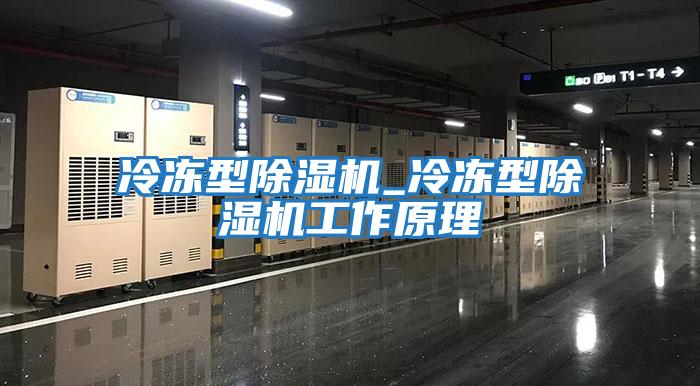 冷凍型除濕機_冷凍型除濕機工作原理