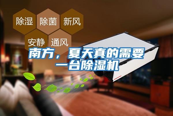 南方,夏天真的需要一臺除濕機