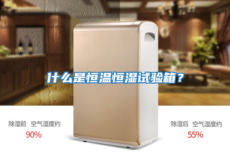 什么是恒溫恒濕試驗箱？