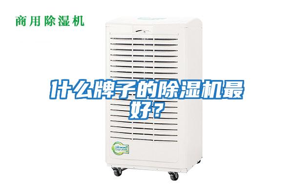 什么牌子的除濕機最好？