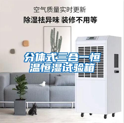 分體式三合一恒溫恒濕試驗箱