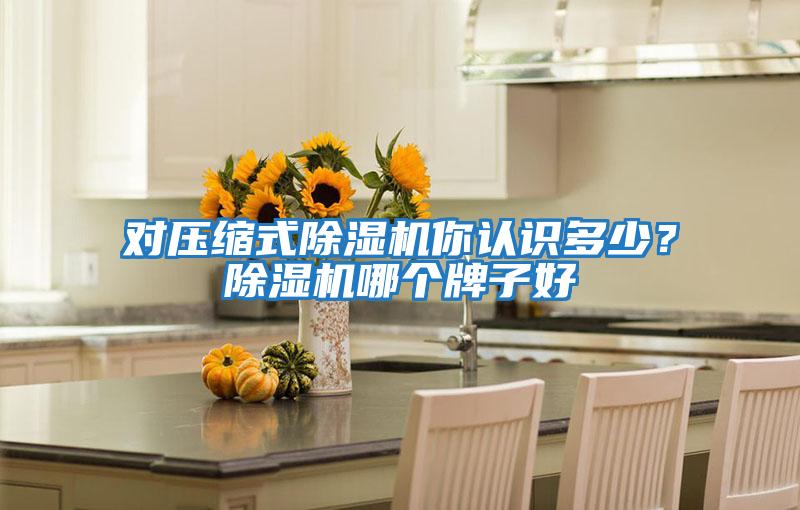 對壓縮式除濕機你認識多少？除濕機哪個牌子好