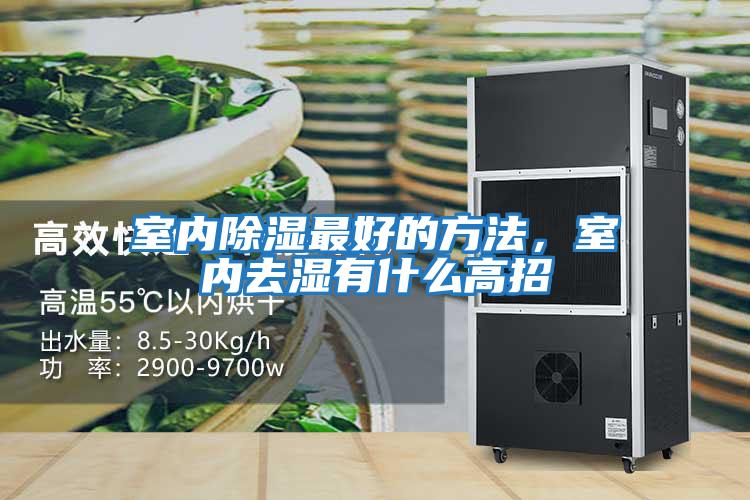 室內除濕最好的方法,室內去濕有什么高招