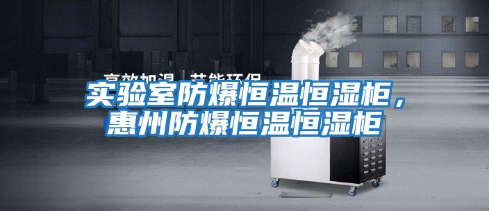 實驗室防爆恒溫恒濕柜，惠州防爆恒溫恒濕柜