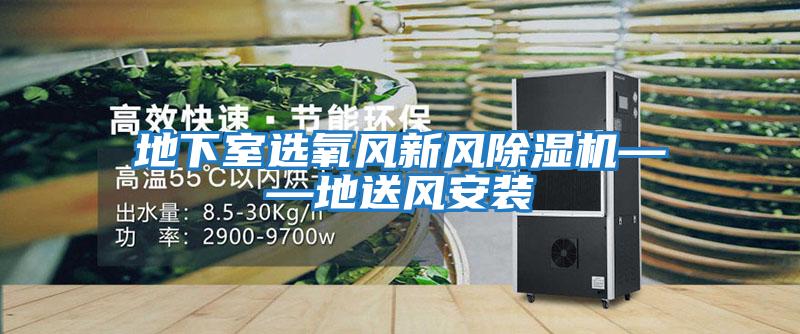 地下室選氧風新風除濕機——地送風安裝