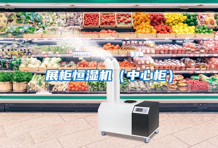 展柜恒濕機（中心柜）