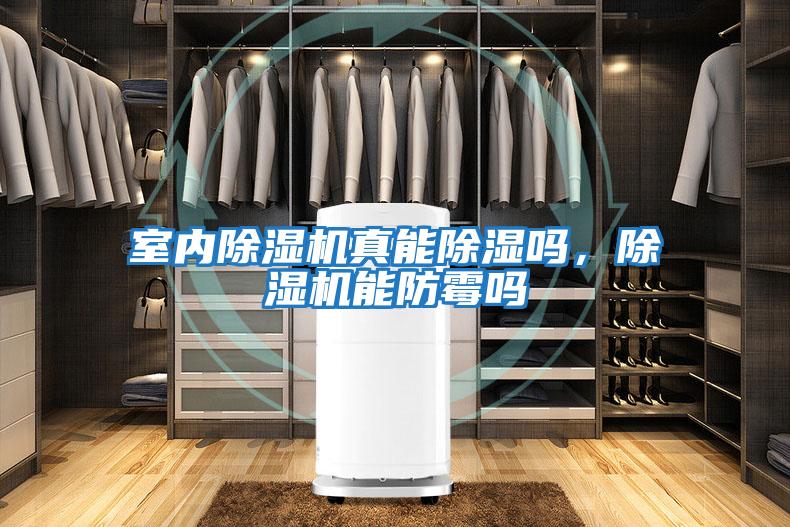 室內(nèi)除濕機真能除濕嗎，除濕機能防霉嗎