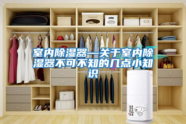 室內除濕器—關于室內除濕器不可不知的幾點小知識
