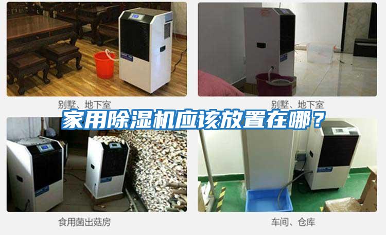 家用除濕機應該放置在哪？