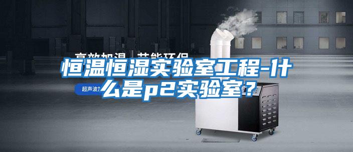 恒溫恒濕實(shí)驗(yàn)室工程-什么是p2實(shí)驗(yàn)室?