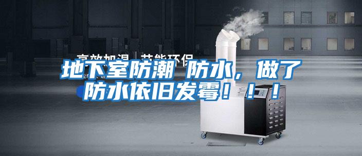 地下室防潮≠防水，做了防水依舊發霉！！！