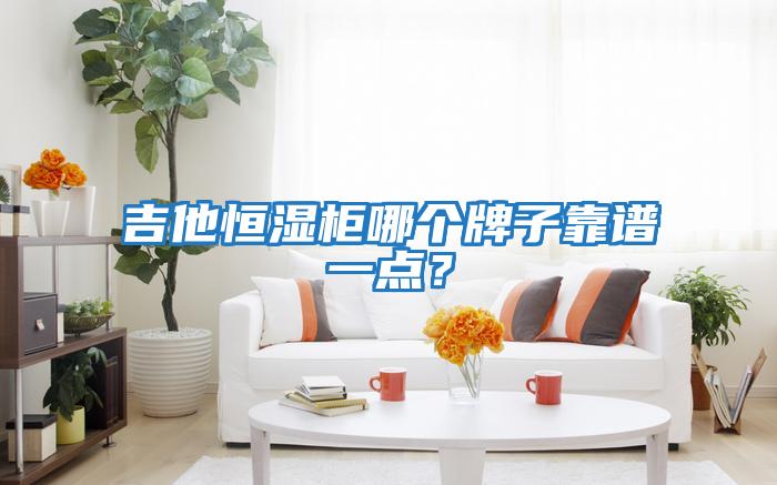 吉他恒濕柜哪個牌子靠譜一點？