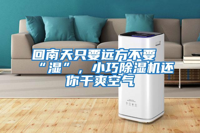 回南天只要遠方不要“濕”，小巧除濕機還你干爽空氣