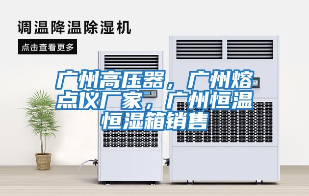 廣州高壓器,廣州熔點儀廠家,廣州恒溫恒濕箱銷售