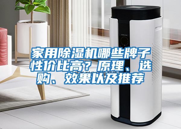 家用除濕機(jī)哪些牌子性價比高？原理、選購、效果以及推薦