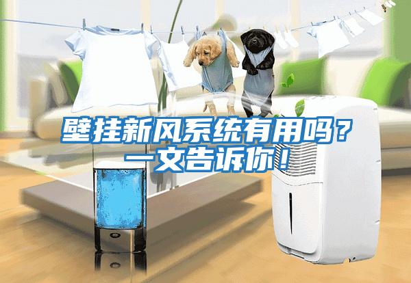 壁掛新風系統有用嗎？一文告訴你！