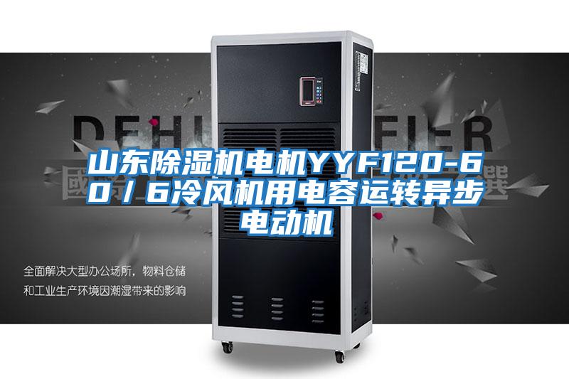 山東除濕機電機YYF120-60／6冷風機用電容運轉異步電動機