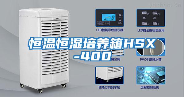 恒溫恒濕培養箱HSX-400