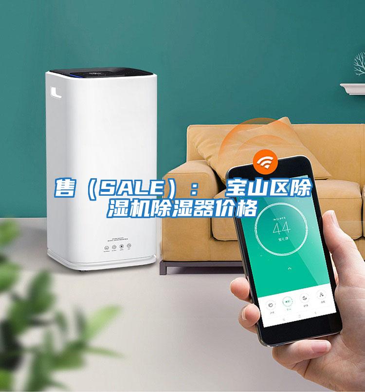 售（SALE）： 寶山區除濕機除濕器價格