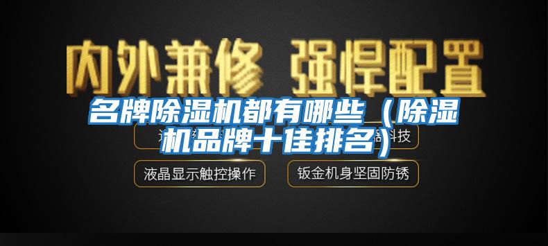 名牌除濕機都有哪些(除濕機品牌十佳排名)