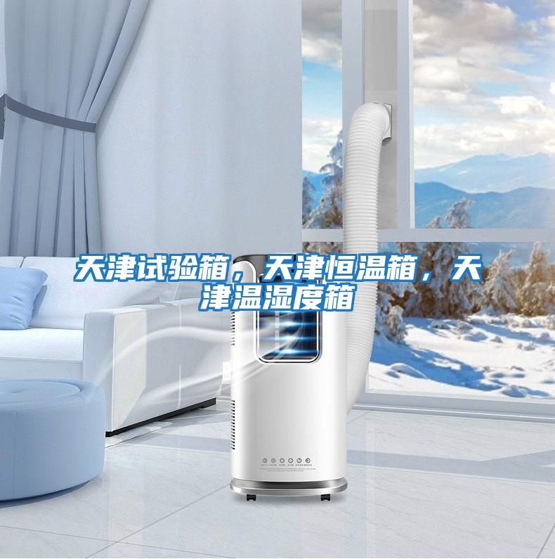 天津試驗箱,天津恒溫箱,天津溫濕度箱