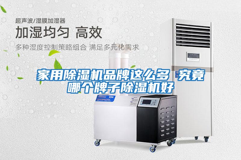 家用除濕機品牌這么多 究竟哪個牌子除濕機好