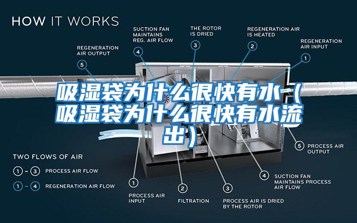 吸濕袋為什么很快有水(吸濕袋為什么很快有水流出)