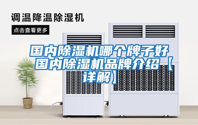 國內除濕機哪個牌子好 國內除濕機品牌介紹【詳解】