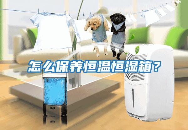 怎么保養恒溫恒濕箱？