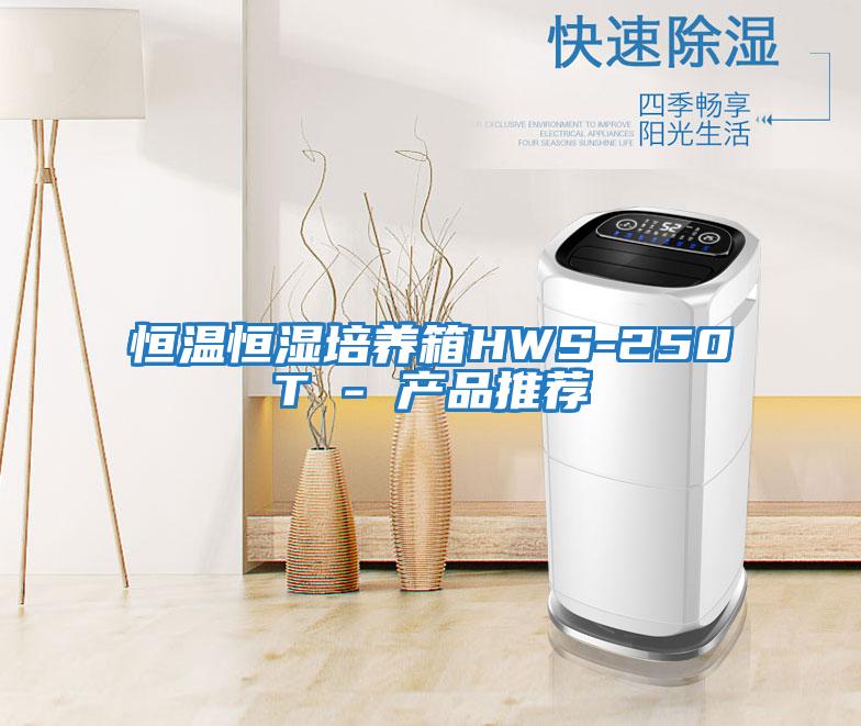 恒溫恒濕培養箱HWS-250T - 產品推薦