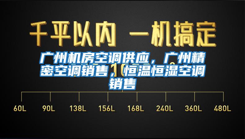 廣州機房空調(diào)供應(yīng),廣州精密空調(diào)銷售,恒溫恒濕空調(diào)銷售