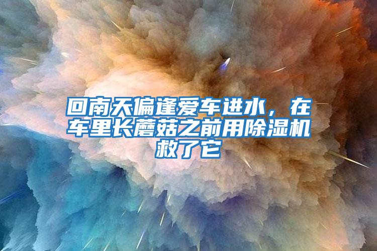 回南天偏逢愛車進水,在車里長蘑菇之前用除濕機救了它