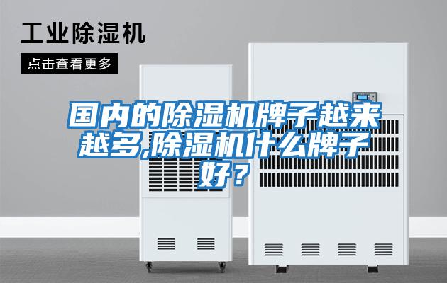 國內的除濕機牌子越來越多,除濕機什么牌子好?