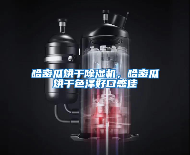 哈密瓜烘干除濕機，哈密瓜烘干色澤好口感佳