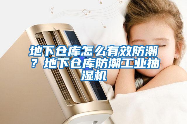 地下倉庫怎么有效防潮？地下倉庫防潮工業抽濕機