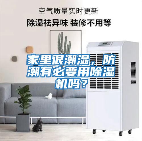 家里很潮濕，防潮有必要用除濕機嗎？