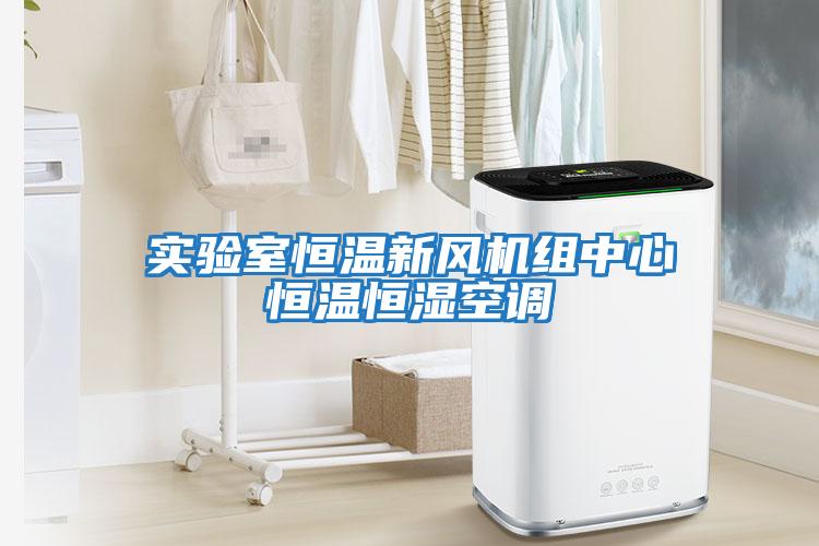 實驗室恒溫新風機組中心恒溫恒濕空調