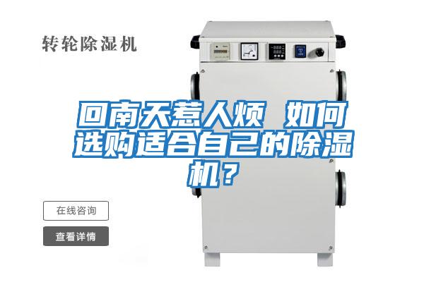 回南天惹人煩 如何選購適合自己的除濕機？