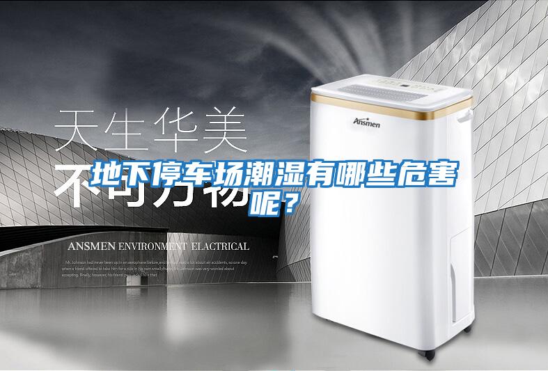 地下停車(chē)場(chǎng)潮濕有哪些危害呢？