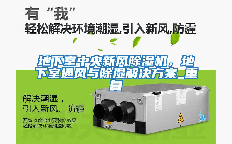 地下室中央新風除濕機，地下室通風與除濕解決方案_重復(fù)