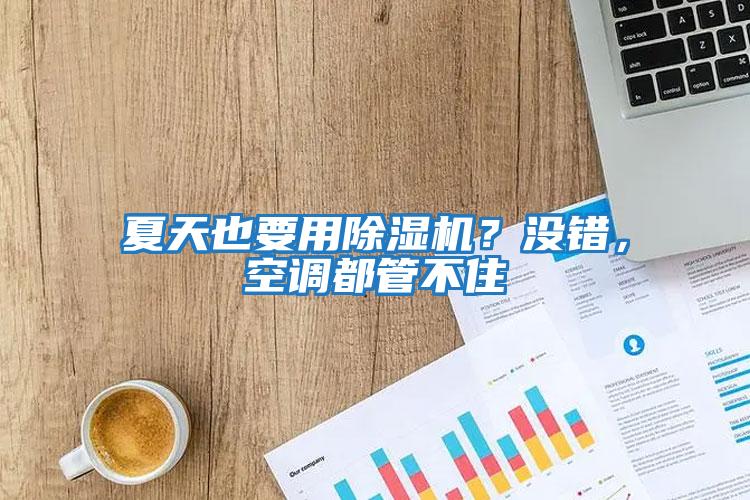 夏天也要用除濕機？沒錯，空調都管不住