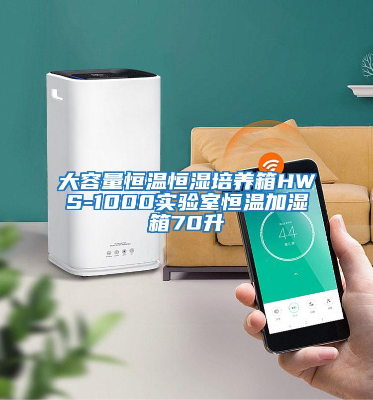 大容量恒溫恒濕培養箱HWS-1000實驗室恒溫加濕箱70升